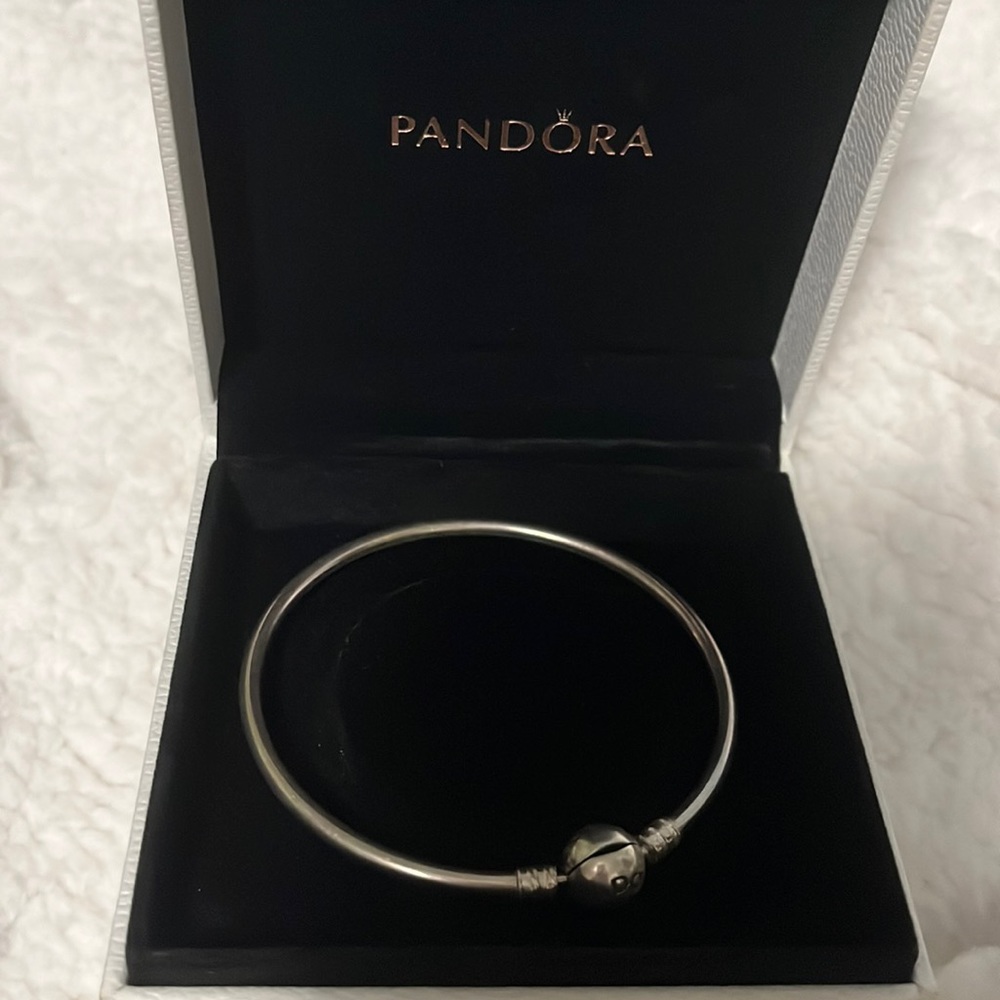 Pandora bracelet